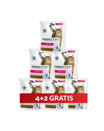 PERFECT FIT Adult 1+ 6 x 750 g sucha karma pełnoporcjowa dla dorosłych kotów bogata w świeżego łososia 4+2 GRATIS