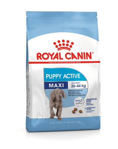 ROYAL CANIN Maxi Puppy Active Trockenfutter für aktive Welpen großer Hunderassen 15 kg