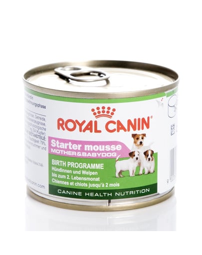 ROYAL CANIN Starter Mousse 12x195g