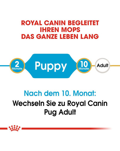ROYAL CANIN Pug Puppy Welpenfutter trocken für Mops 0,5 kg