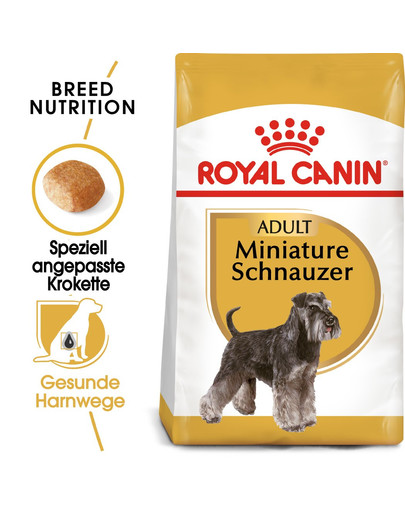 ROYAL CANIN Miniature Schnauzer Adult Hundefutter trocken für Zwergschnauzer 0.5 kg