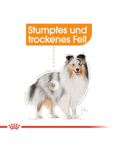 ROYAL CANIN COAT CARE MINI Trockenfutter für kleine Hunde für glänzendes Fell 1 kg