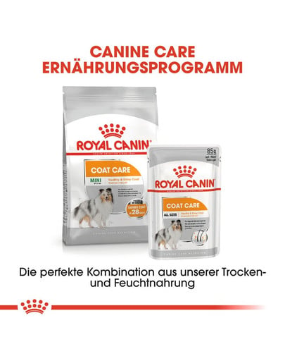 ROYAL CANIN COAT CARE MINI Trockenfutter für kleine Hunde für glänzendes Fell 1 kg