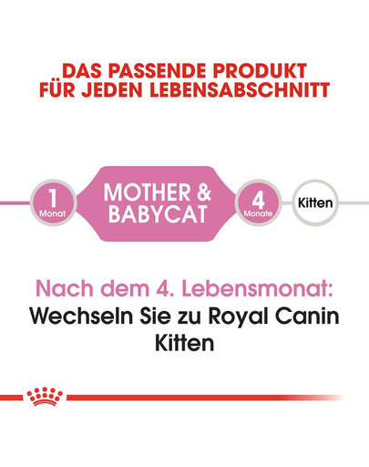 ROYAL CANIN MOTHER & BABYCAT Katzenfutter für tragende Katzen und Kitten 400 g