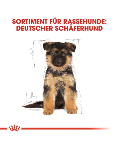 ROYAL CANIN German Shepherd Puppy Welpenfutter trocken für Deutsche Schäferhunde 3 kg