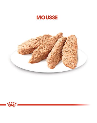 ROYAL CANIN KITTEN Nassfutter in Mousse für Kätzchen 12x85g