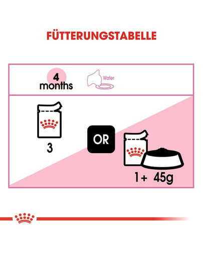 ROYAL CANIN KITTEN Nassfutter in Mousse für Kätzchen 12x85g