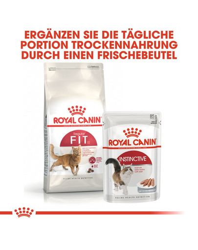 ROYAL CANIN FIT Trockenfutter für aktive Katzen 4 kg