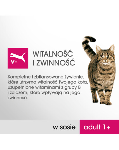 PERFECT FIT Cat Adult 1+ mięsne saszetki 4*85 g