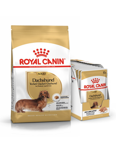 ROYAL CANIN Dachshund Adult Hundefutter trocken für Dackel 7,5 kg  + nass für Dackel 12 x 85 g