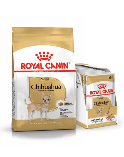 ROYAL CANIN Chihuahua Adult Hundefutter trocken 3 kg + Chihuahua nass in Soße 12 x 85 g