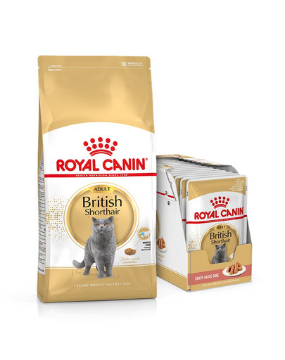 ROYAL CANIN British Shorthair Katzenfutter trocken für Britisch Kurzhaar 10 kg + Nassfutter für Britisch Kurzhaar 12x85 g