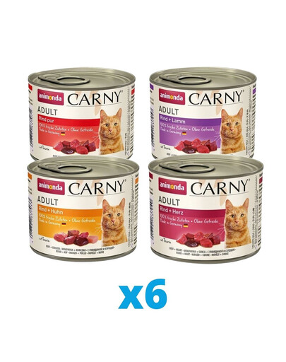 ANIMONDA Carny Adult Mixpaket 24 x 200 g