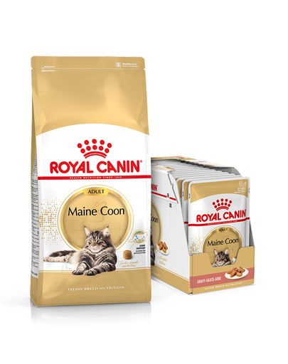 ROYAL CANIN Maine Coon Adult Katzenfutter trocken 10 kg + Maine Coon Adult nass 12 x 85 g