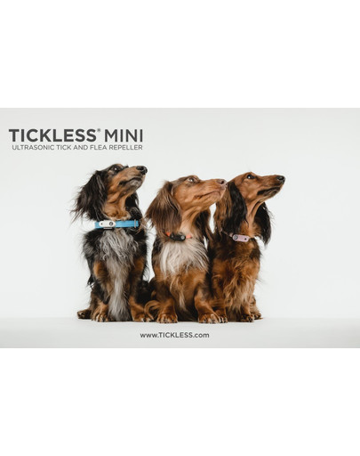TICKLESS Mini MINI DOG – Schwarz