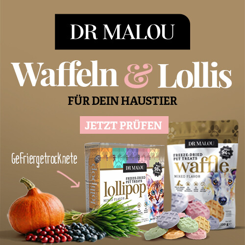 2026-01-06 DR MALOU gefriergetrocknete Waffeln und Lutscher