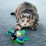 KONG Cat Bat-A-Bout Flicker Firefly