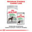 ROYAL CANIN MAXI Digestive Care Trockenfutter für große Hunde mit empfindlicher Verdauung 12 kg