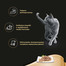 SHEBA Cuisine Tasche für Katzen Lachs 85 g