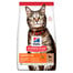 HILL'S Science Plan Feline Adult with Lamb 10kg