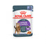 ROYAL CANIN Appetite Control Jelly Nassfutter für adulte Katzen 24x85 g