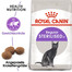 ROYAL CANIN Sterilised 37 2x10 kg