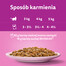 WHISKAS Adult saszetka 85g mokra karma dla dorosłych kotów w sosie z łososiem