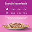 WHISKAS Adult saszetka 85g mokra karma dla dorosłych kotów w sosie z jagnięciną i indykiem