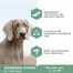 EUKANUBA Daily Care Sensitive Joints Trockenfutter für ausgewachsene Hunde mit sensiblen Gelenken 12 kg
