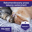 FELIWAY FELIWAY Friends Pheromoneinsatz bei Konflikten zwischen Katzen