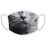 FERA Schutzmaske Britisch Kurzhaar Katze