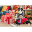 AMIPLAY Bergen Pullover für Hunde 28 cm Marineblau
