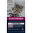 EUKANUBA Grain Free Kitten Lachs 2 kg für heranwachsende Kätzchen