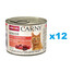 ANIMONDA Carny Nassfutter Rind und Putenherzen für ältere Katzen getreidefrei 12x200 g