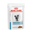 ROYAL CANIN Skin & Coat Diät-Alleinfuttermittel für ausgewachsene Katzen 48 x 85 g