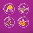 WHISKAS Adult 40x85g Poultry Flavours - Katzenfutter in Gelee (Huhn, Ente, Geflügel, Pute)