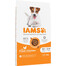 IAMS for Vitality Senior für ältere Hunde kleiner und mittelgroßer Rassen mit frischem Huhn 5 kg