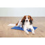 TRIXIE Kühlmatte 100x60cm blau