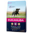 EUKANUBA Developing Junior Large Breed Chicken 3kg