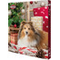 TRIXIE Adventskalender für Hunde