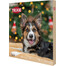 TRIXIE Adventskalender für Hunde