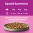 WHISKAS Adult saszetka 48x85g Drobiowe Frykasy mokra karma dla dorosłych kotów w galaretce z: kurczakiem, indykiem, drobiem, kaczką