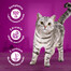 WHISKAS Adult saszetka 48x85g Drobiowe Frykasy mokra karma dla dorosłych kotów w galaretce z: kurczakiem, indykiem, drobiem, kaczką