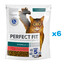 PERFECT FIT Sterile 1+ 6x750 g sucha karma pełnoporcjowa dla dorosłych kotów bogata w wołowinę