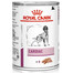 ROYAL CANIN Cardiac Canine 24x410 g karma mokra dla dorosłych psów z niewydolnością serca