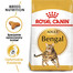 ROYAL CANIN Bengal Adult karma sucha dla kotów dorosłych rasy bengal 2x2 kg