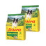 JOSERA Salmon and Potato Adult getreidefreies Futter für Hunde mit empfindlichem Magen 2x900g