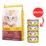 JOSERA Kitten 10 kg + 4 Dosen GRATIS