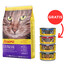 JOSERA Cat Culinesse Trockenfutter mit Lachs für Katzen 10 kg + 4 Dosen GRATIS