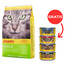 JOSERA SensiCat für sensible Katzen 10 kg + 4 Dosen GRATIS